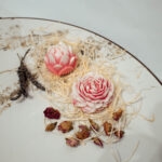 Lato '25 | Ogród Ombre | Płatki róży & biała brzoskwinia