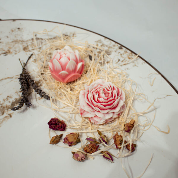 Lato '25 | Ogród Ombre | Płatki róży & biała brzoskwinia