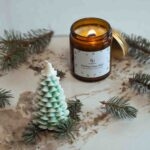 Zima '25 | Waniliowy Las | Świerk & Wanilia